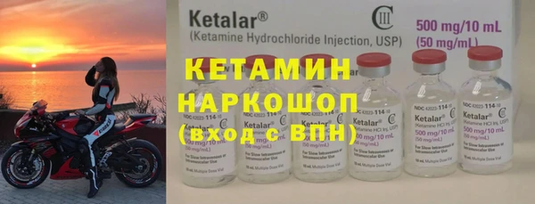 твердый Новозыбков