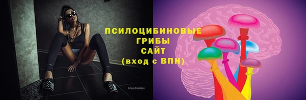 спиды Елизово