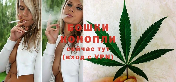 твердый Новозыбков