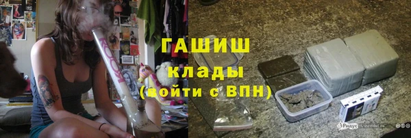 твердый Новозыбков