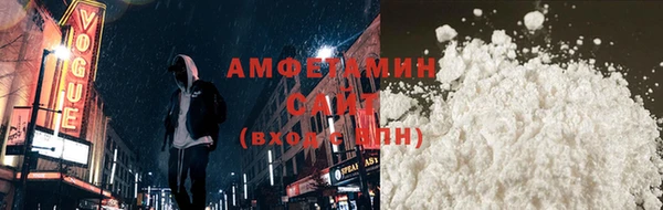твердый Новозыбков