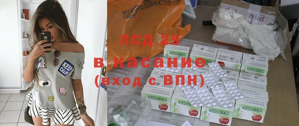 твердый Новозыбков