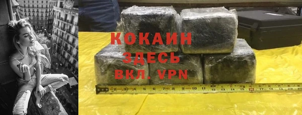 твердый Новозыбков